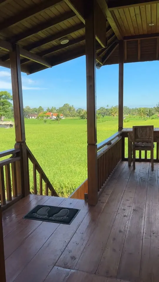 Room in a house with garden