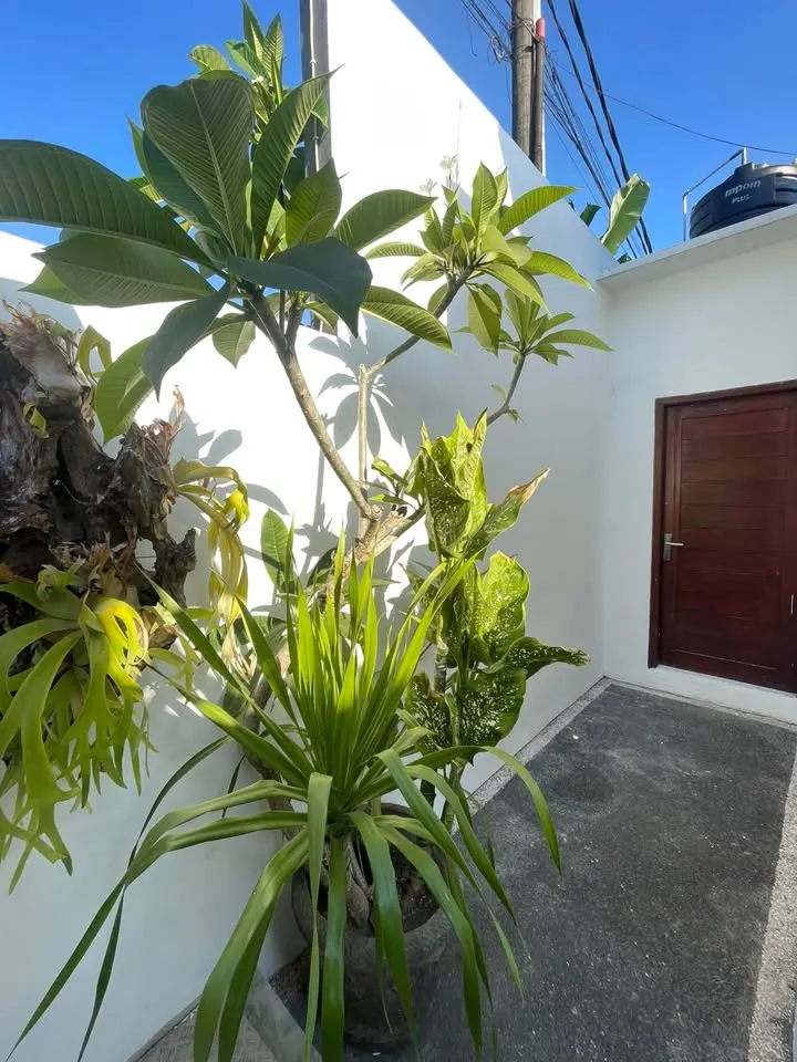 2 bedroom villa with private pool, close to beaches and cafes