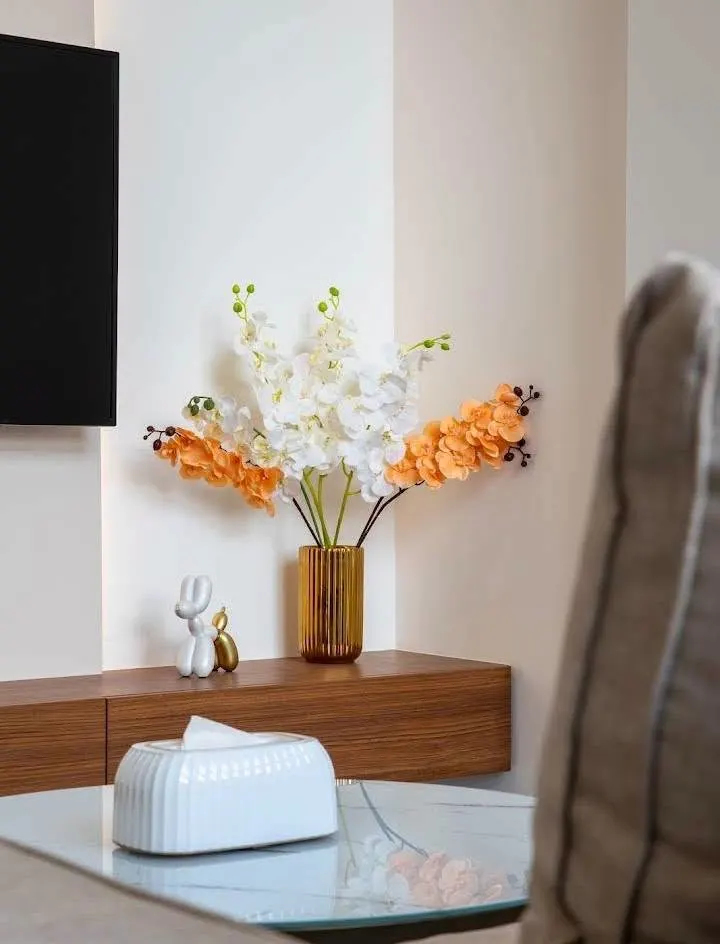 1 bedroom apartment with modern interior
