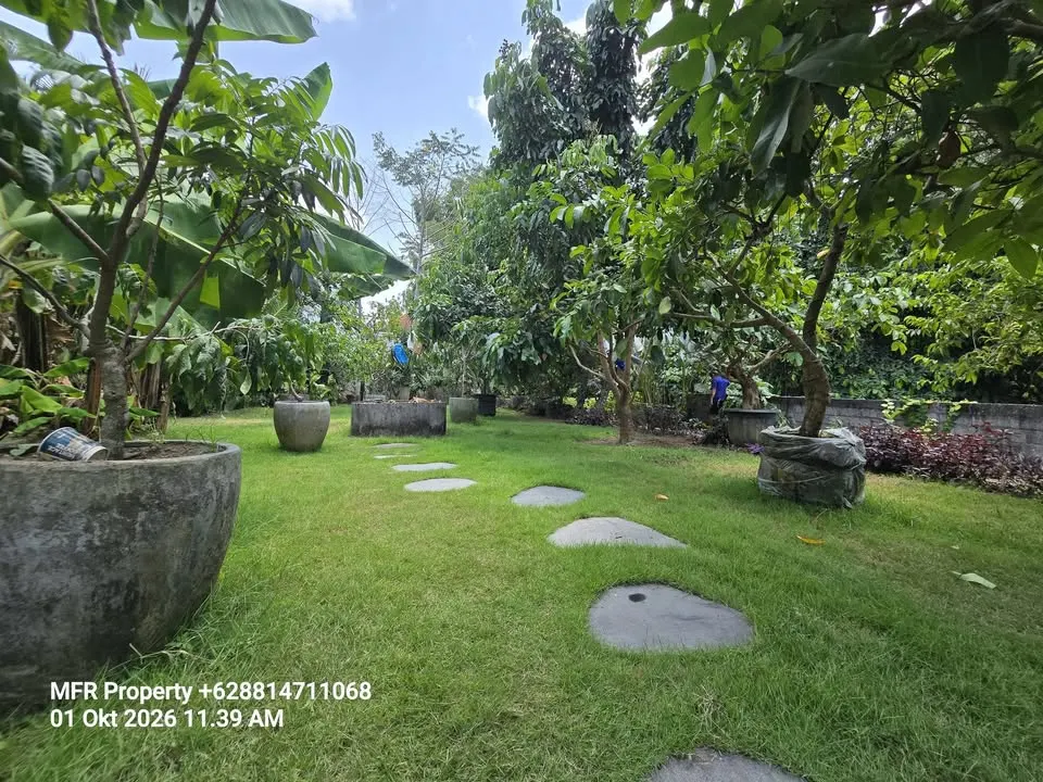 3 bedroom villa with swimming pool, jungle and river views