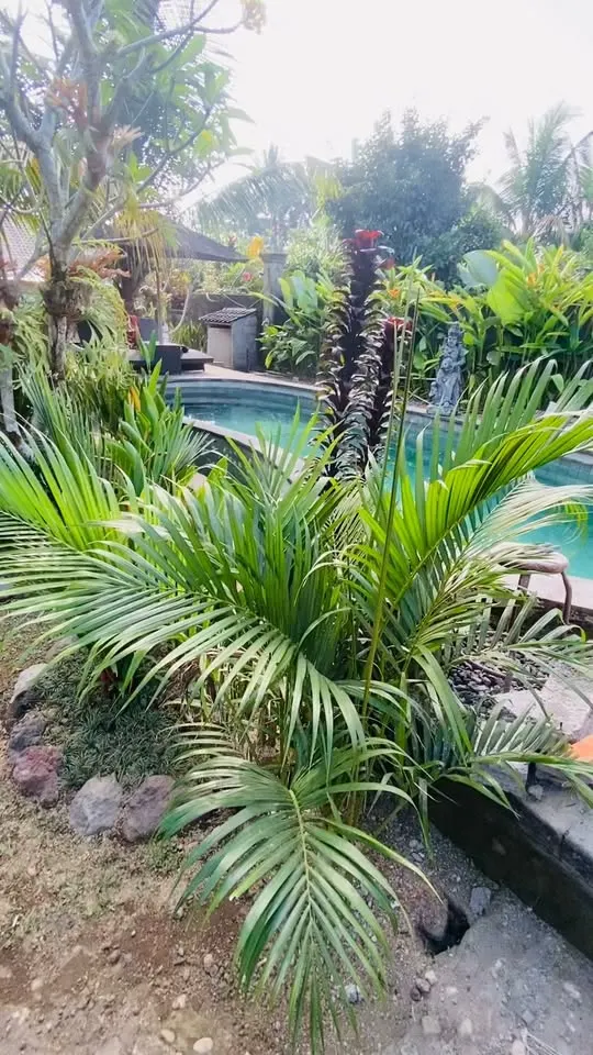Room in a villa with shared pool, quiet peaceful spot