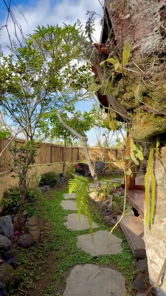 1 bedroom house with rice field view, quiet and peaceful area