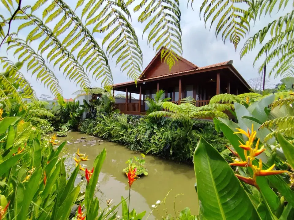 1 bedroom villa with rice field view