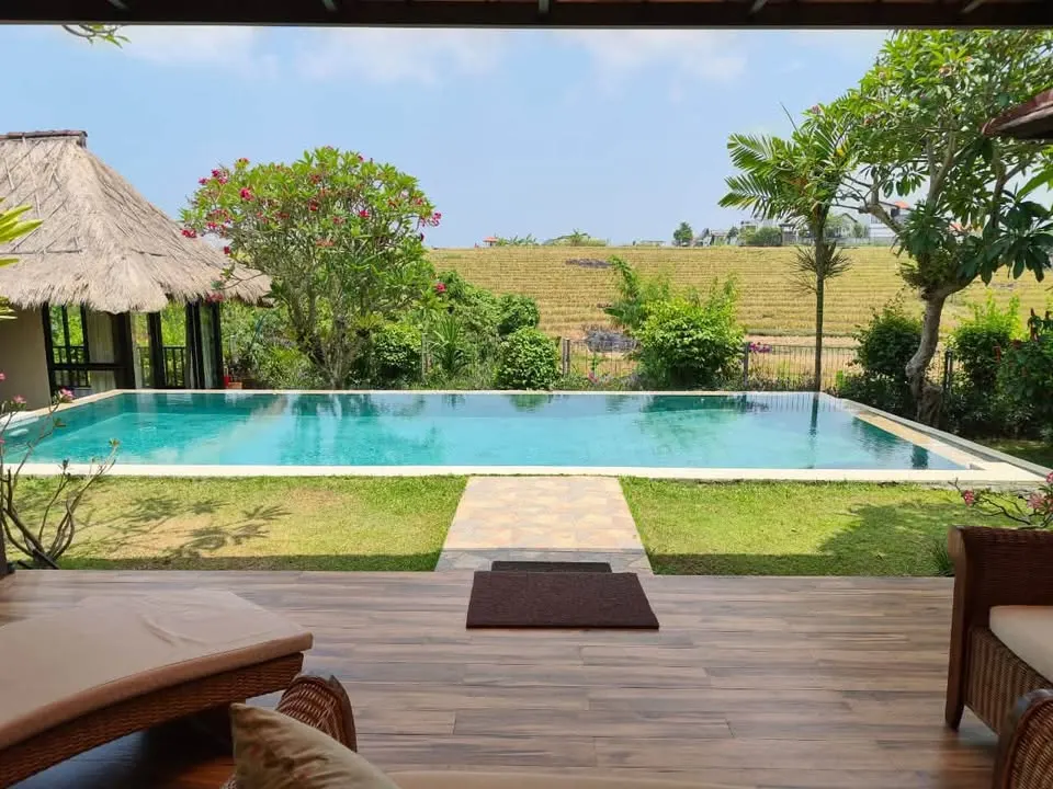 3 bedroom villa with large pool and rice field views, in Pererenan