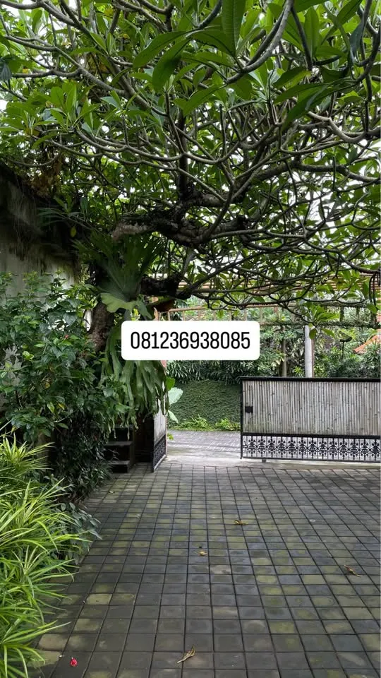 1 bedroom room with private pool, quiet area